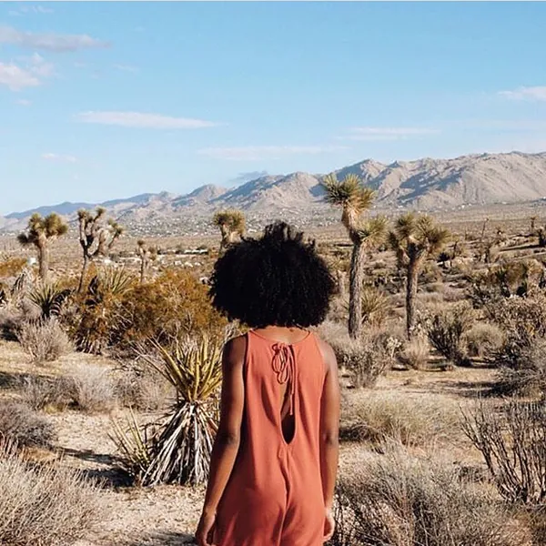 BACK BEAT RAGS — Isadora Alvarez