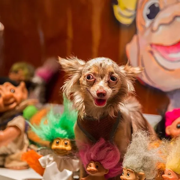 REVEREND JEN'S TROLL MUSEUM RESURRECTION — Reverend Jen