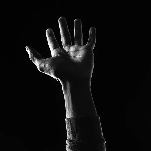 SOULS OF A MOVEMENT — Carlos von der Heyde