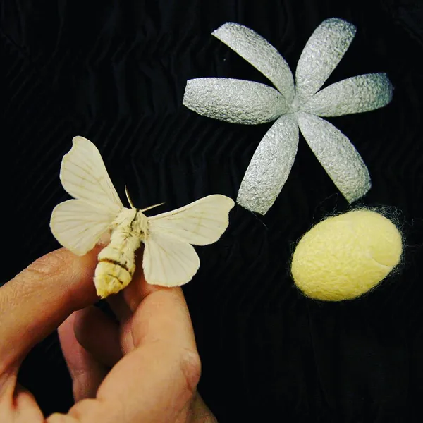 THE VIOLET TOUCH — Ida Ivanka Kubler