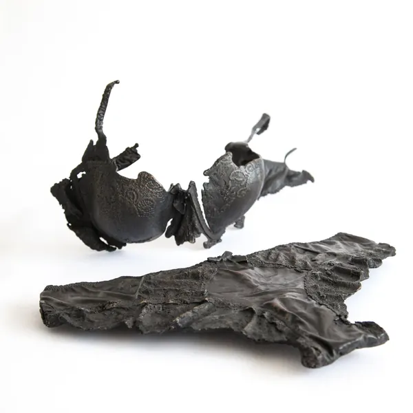 ZEUS — Zoe Schwartz